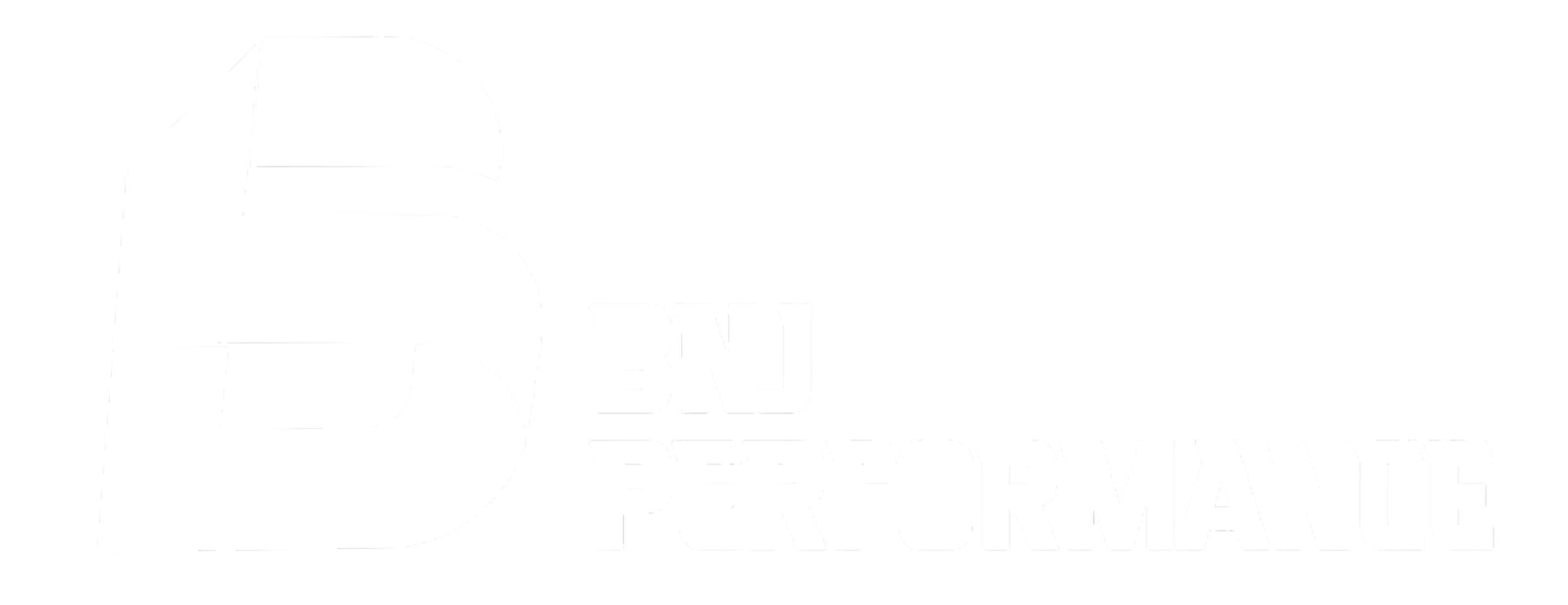 BNJ Performance